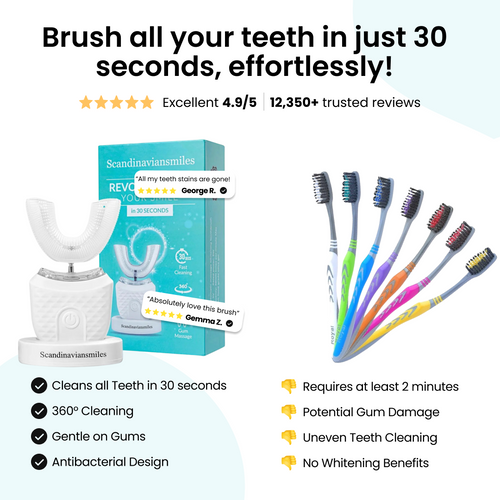 Auto Brush Maxxer 2.0